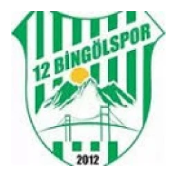 12 Bingöl Spor arması